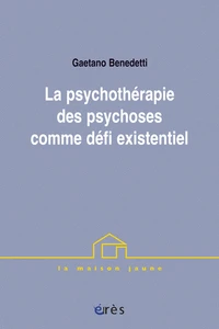 La Psychotherapie Des Psychoses Comme Defi Existentiel