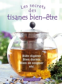 Les secrets des tisanes bien-être