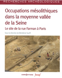 Bénédicte Souffi - Occupations mésolithiques dans la moyenne vallée de la Seine - Le site de la rue Farman à Paris.