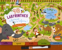 48 labyrinthes à faire et à refaire !