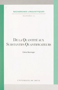 De la quantité aux substantifs quantificateurs