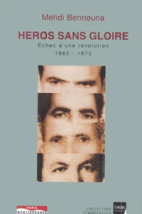 Héros sans gloire, échec d'une révolution (1963-1973)