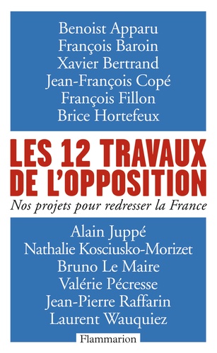 Les 12 travaux de l'opposition. Nos projets pour redresser la France - Occasion