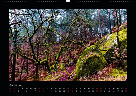 CALVENDO Nature  Photo-Tableaux(Premium, hochwertiger DIN A2 Wandkalender 2020, Kunstdruck in Hochglanz). Photos ou tableaux? (Calendrier mensuel, 14 Pages )