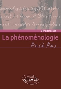 Livres téléchargements audio La phénoménologie 9782340080645 PDF CHM (French Edition)