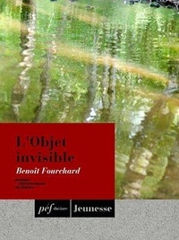 Benoît Fourchard - L'Objet invisible.