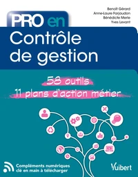 Pro en contrôle de gestion
