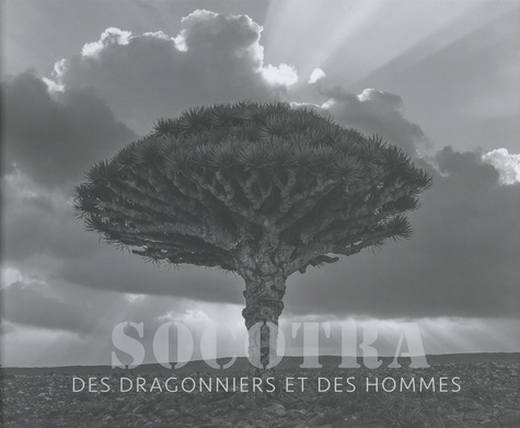 Socotra. Des dragonniers et des hommes