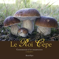 Le Roi Cèpe