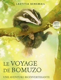 Le voyage de Bomuzo