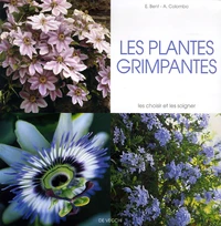 Les plantes grimpantes