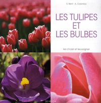 Les tulipes et les bulbes