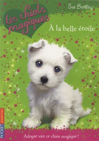 A la belle étoile