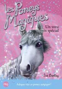 Un voeu très spécial