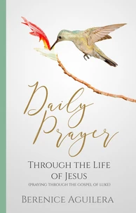 Daily Prayer through the Life of Jesus (Praying through the Gospel of Luke)