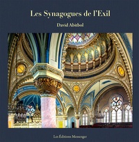 Bérénice Foussard Nakache - Les synagogues de l'exil - Des synagogues en Europe.
