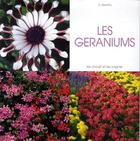 Les géraniums