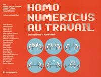 Homo numericus au travail