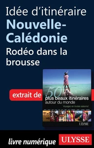 Les 50 plus beaux itinéraires autour du monde