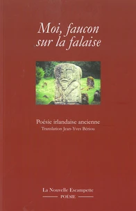 Moi, faucon sur la falaise