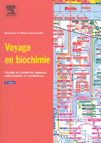 Bernadette Hecketsweiler et Philippe Hecketsweiler - Voyage en biochimie - Circuits en biochimie humaine, nutritionnelle et métabolique.