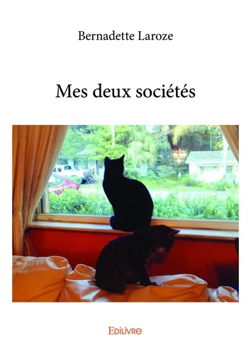 Mes deux sociétés