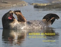 Histoires de phoques en baie d'Authie