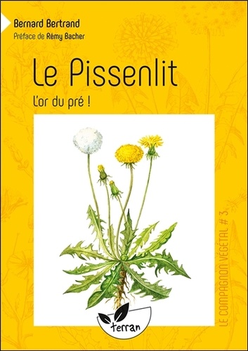 Bernard Bertrand - Le pissenlit - L'or du pré !.