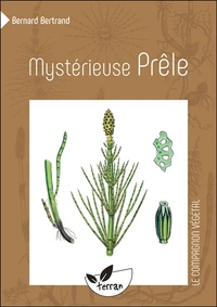 Mysterieuse prêle