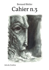 Cahier n.3