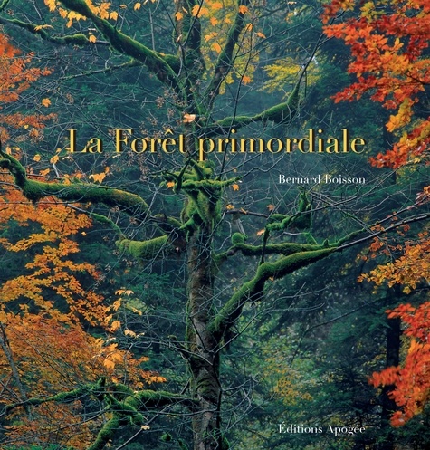 Bernard Boisson - La Forêt primordiale.