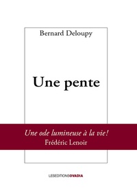 Bernard Deloupy - Une pente.