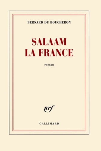 Salaam la France - Occasion
