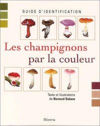 Feriasdhiver.fr Les champignons par la couleur Image