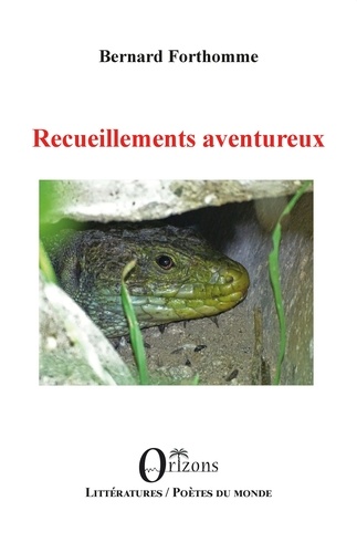 Recueillements aventureux