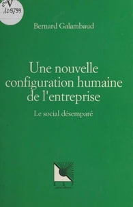 Une Nouvelle Configuration Humaine De L'Entreprise. Le Social Desempare