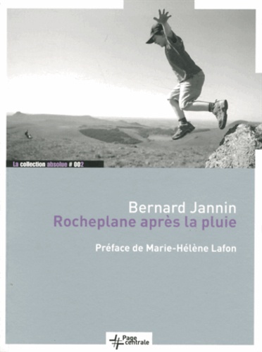 Bernard Jannin - Rocheplane après la pluie.