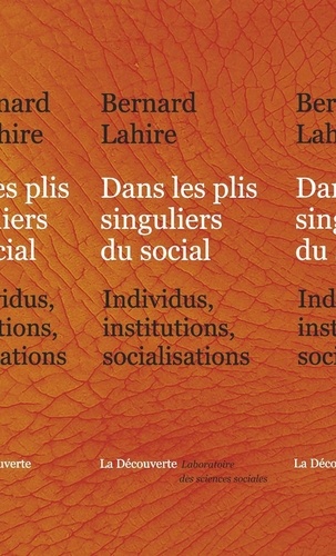 Dans les plis singuliers du social. Individus, institutions, socialisations