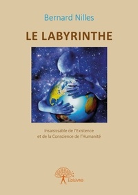 Bernard Nilles - Le labyrinthe insaisissable de l'existence et de la conscience de l'humanité - nouvelles.