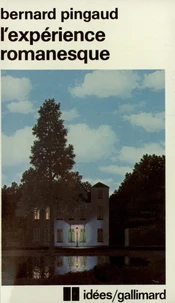 L'Expérience romanesque