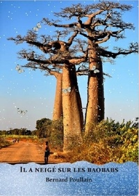 Bernard Poullain - Il a neigé sur les baobabs.