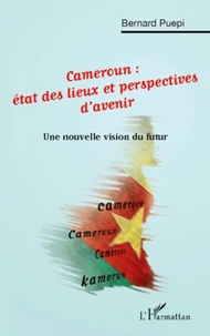 Cameroun : état des lieux et perspectives d'avenir