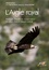 L'Aigle royal. Biologie, histoire et conservation, Situation dans le Massif central