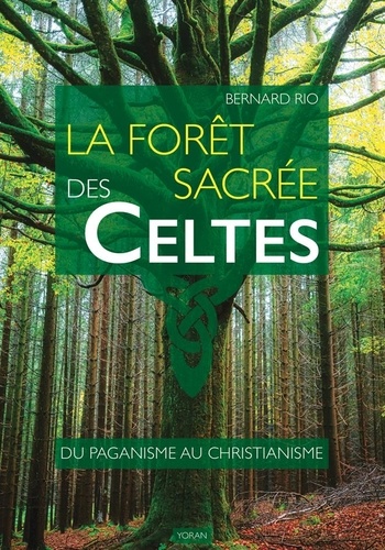 La forêt sacrée des Celtes. Du paganisme au christianisme