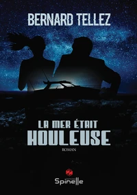 La mer était houleuse