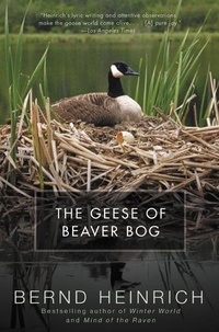 Bernd Heinrich - The Geese of Beaver Bog.