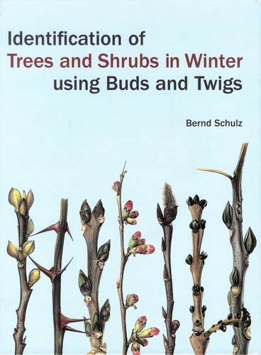 Identification of Trees and Shrubs in Winter Using Buds and Twigs