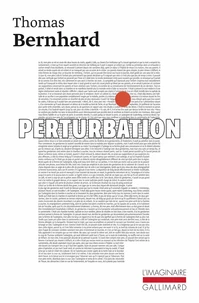 Perturbation