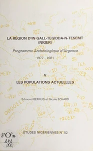 La région d'In Gall-Tegidda-n-Tesemt (5)