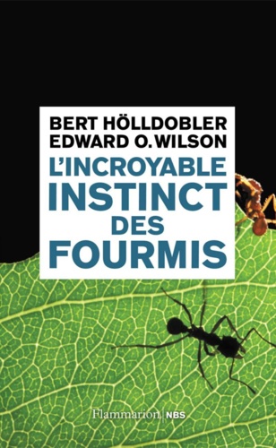 L'incroyable instinct des fourmis. De la culture du champignon à la civilisation